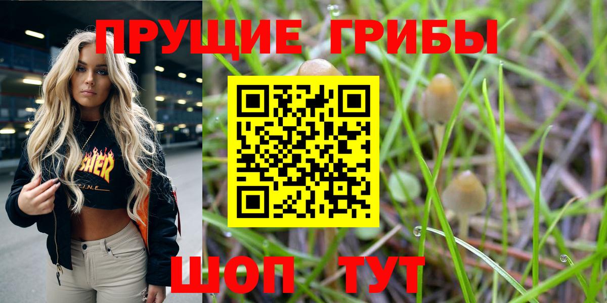 Псилоцибиновые грибы Psilocybine cubensis  Псилоцибиновые грибы MAGIC MUSHROOMS  Сатка  Вход с VPN 